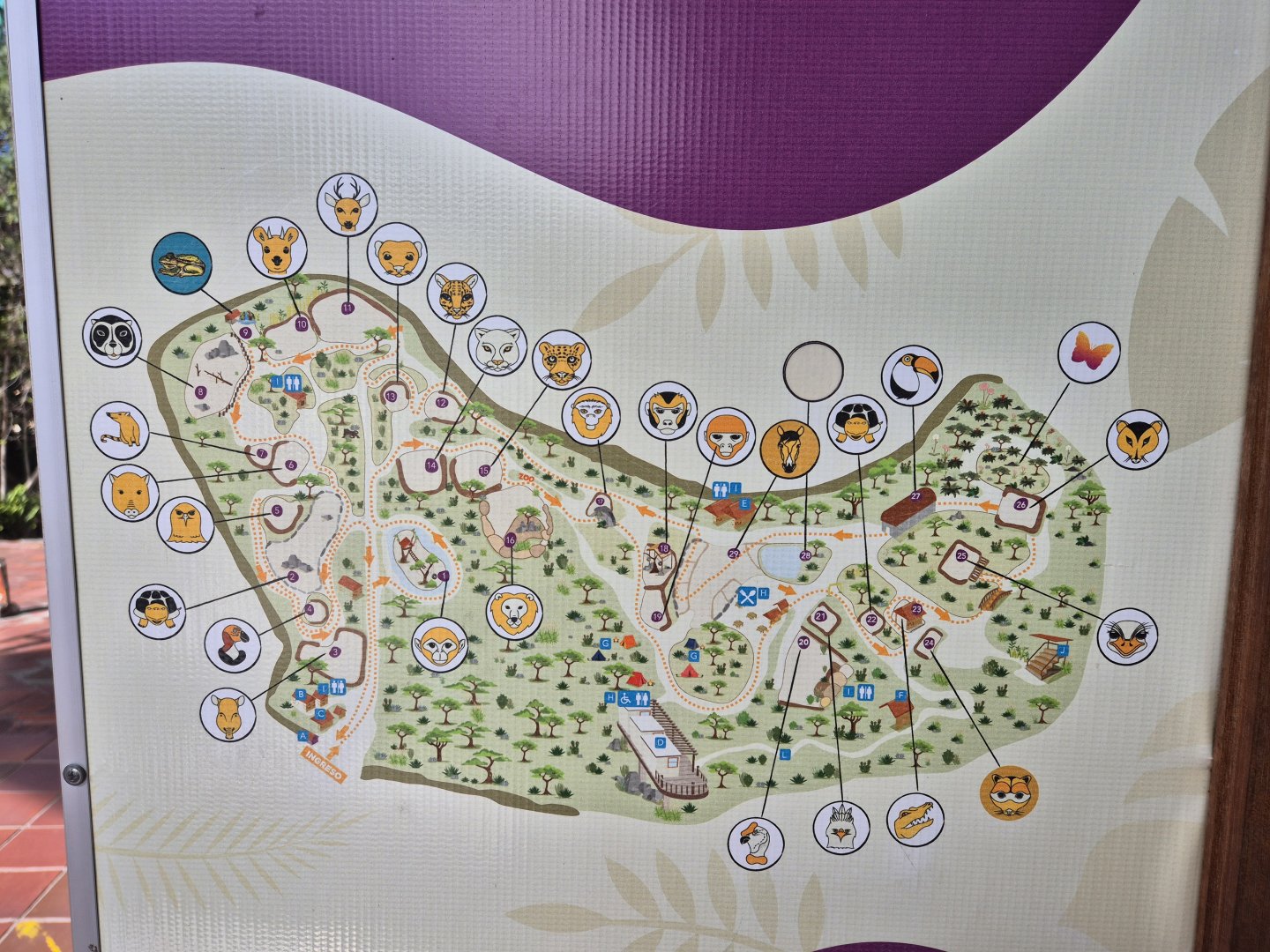 Zoo Map