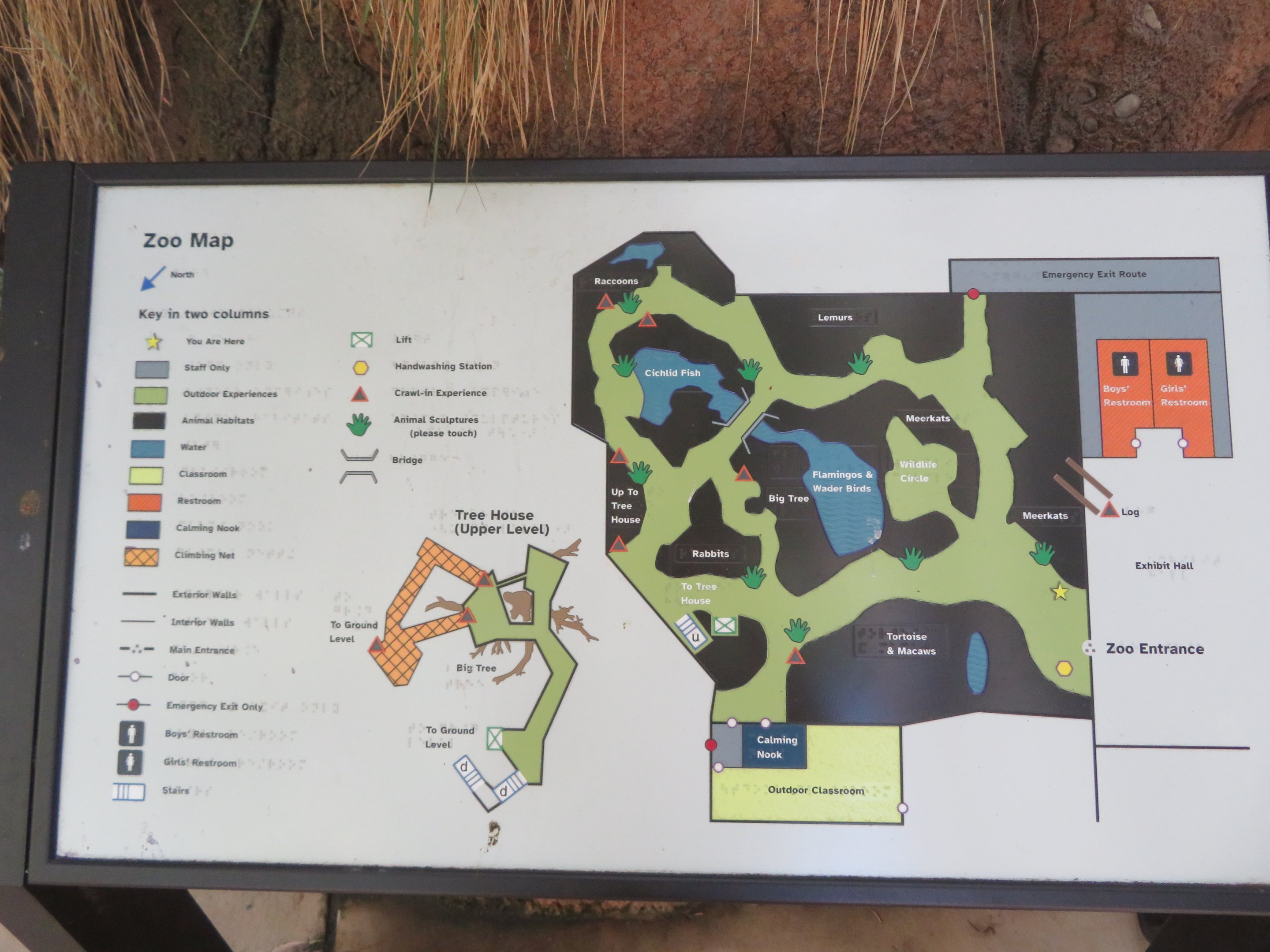 Zoo Map