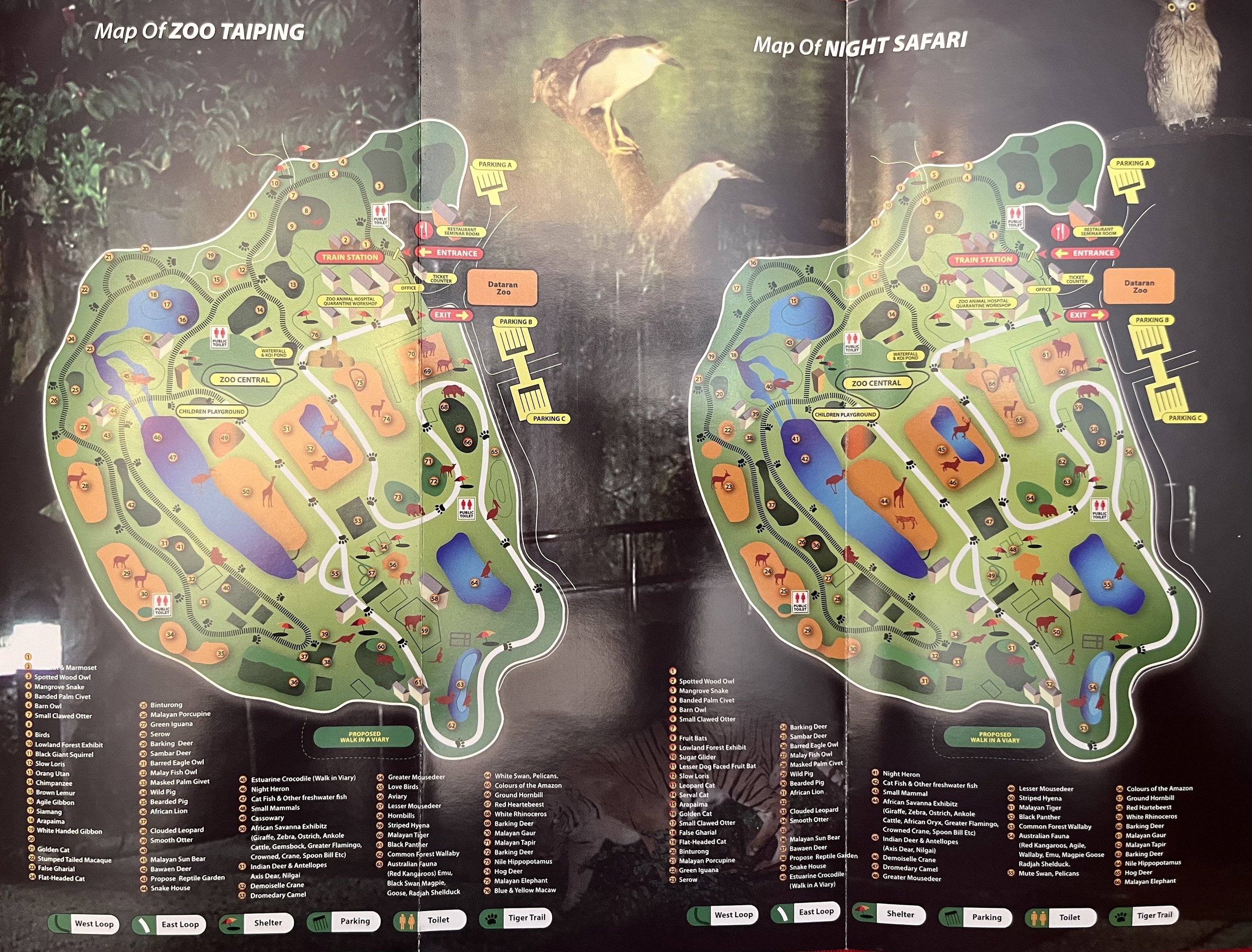 Zoo Maps - 2013