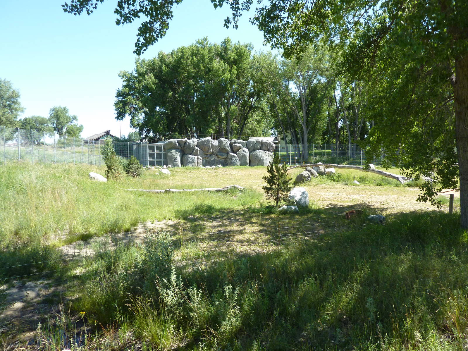 Zoo Montana - 2-Acre Grizzly Bear Exhibit