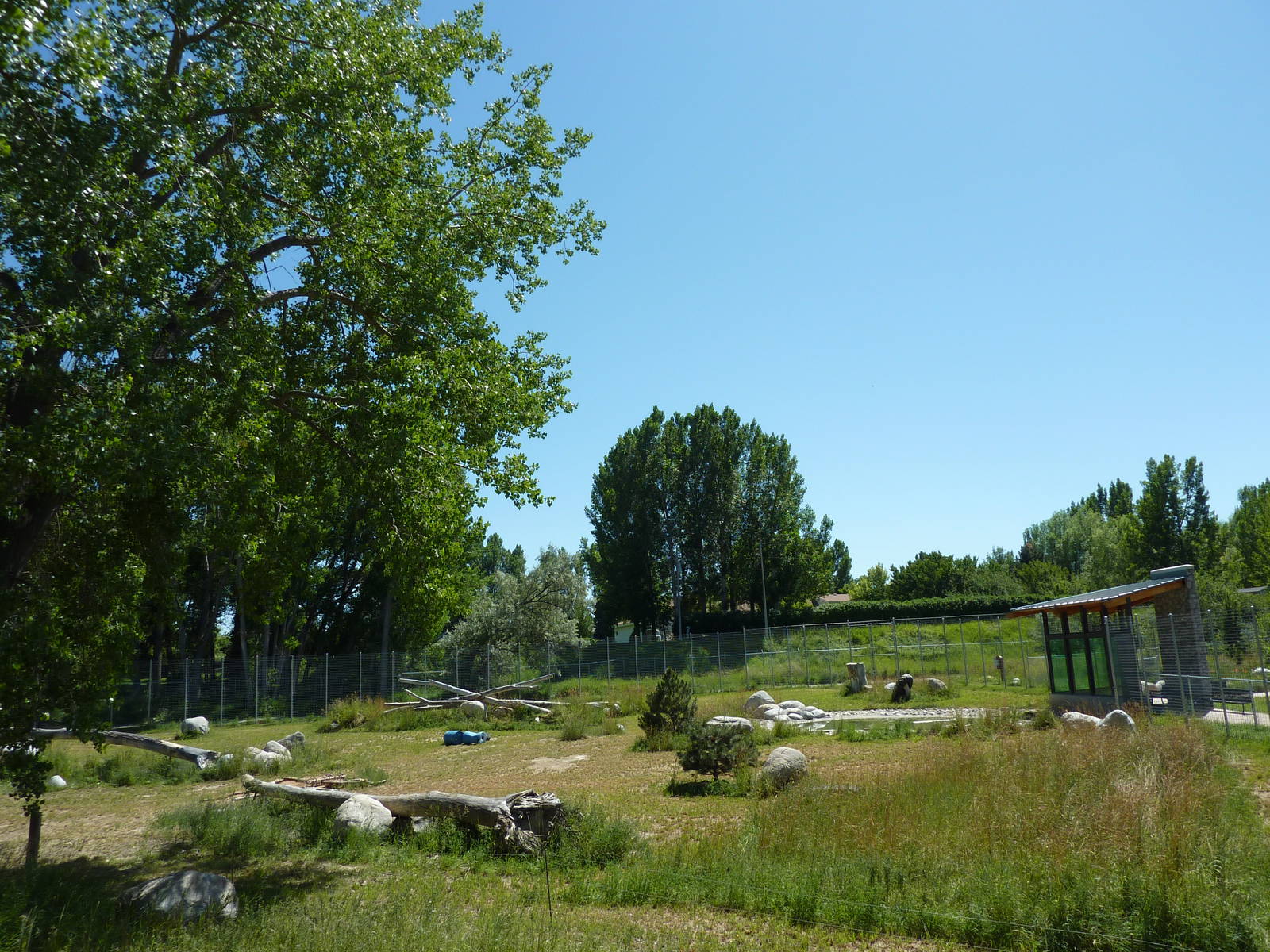 Zoo Montana - 2-Acre Grizzly Bear Exhibit