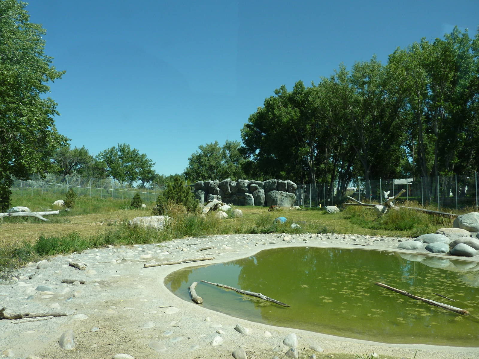 Zoo Montana - 2-Acre Grizzly Bear Exhibit
