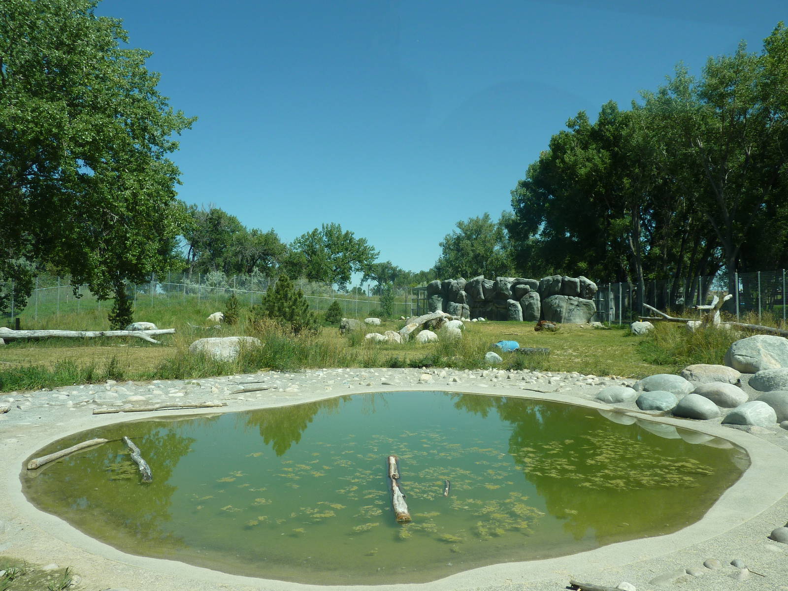 Zoo Montana - 2-Acre Grizzly Bear Exhibit