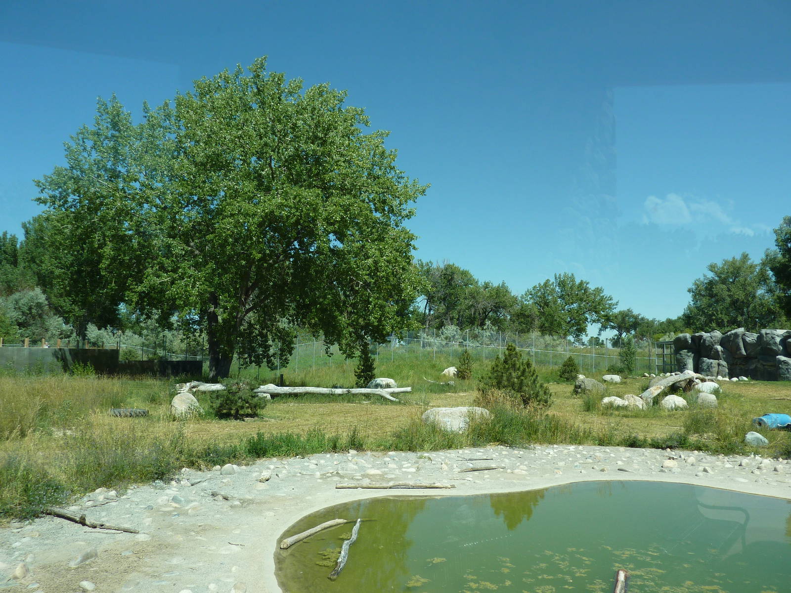 Zoo Montana - 2-Acre Grizzly Bear Exhibit
