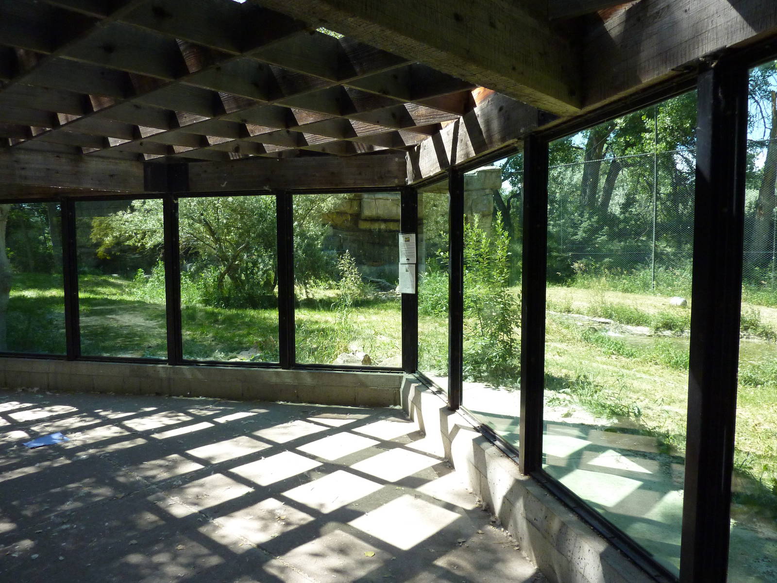 Zoo Montana - Amur Tiger Exhibit