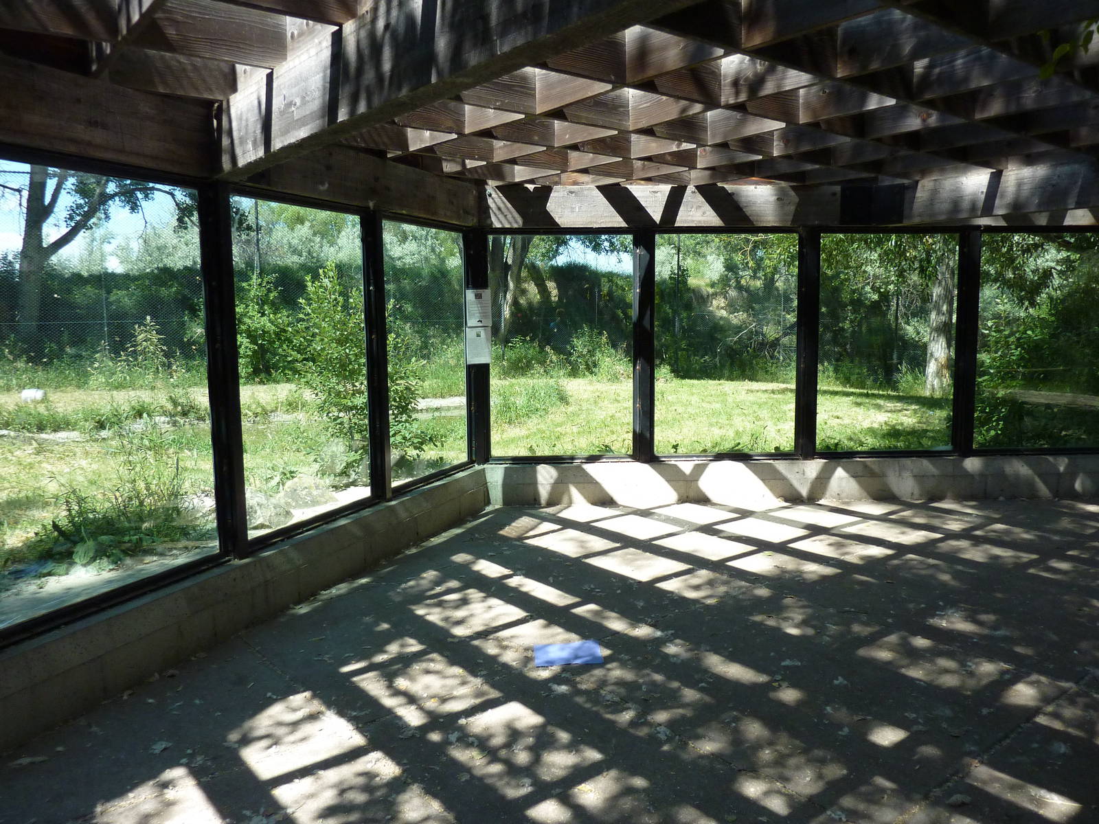 Zoo Montana - Amur Tiger Exhibit