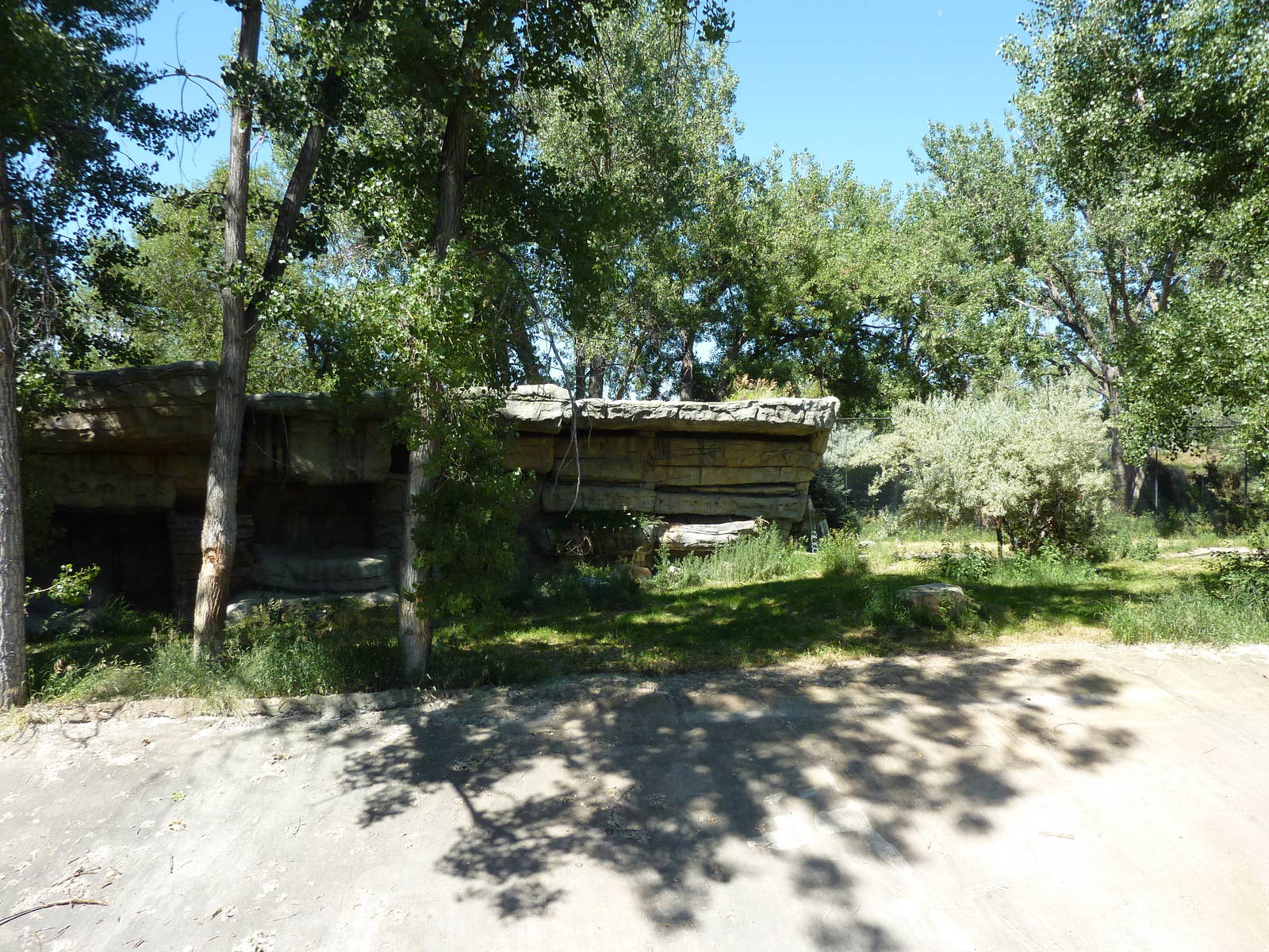 Zoo Montana - Amur Tiger Exhibit