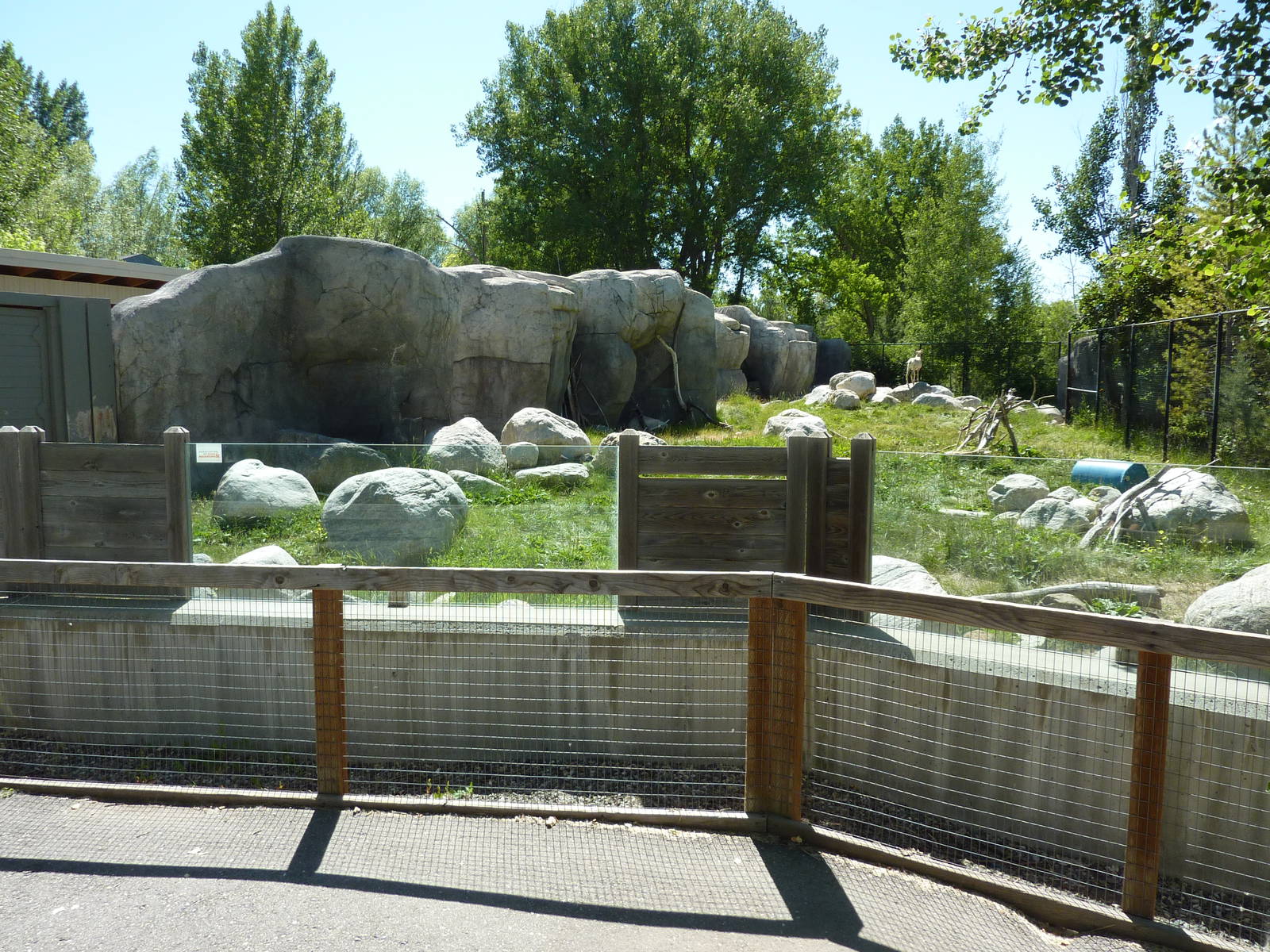 Zoo Montana - Bighorn Sheep Exhibit