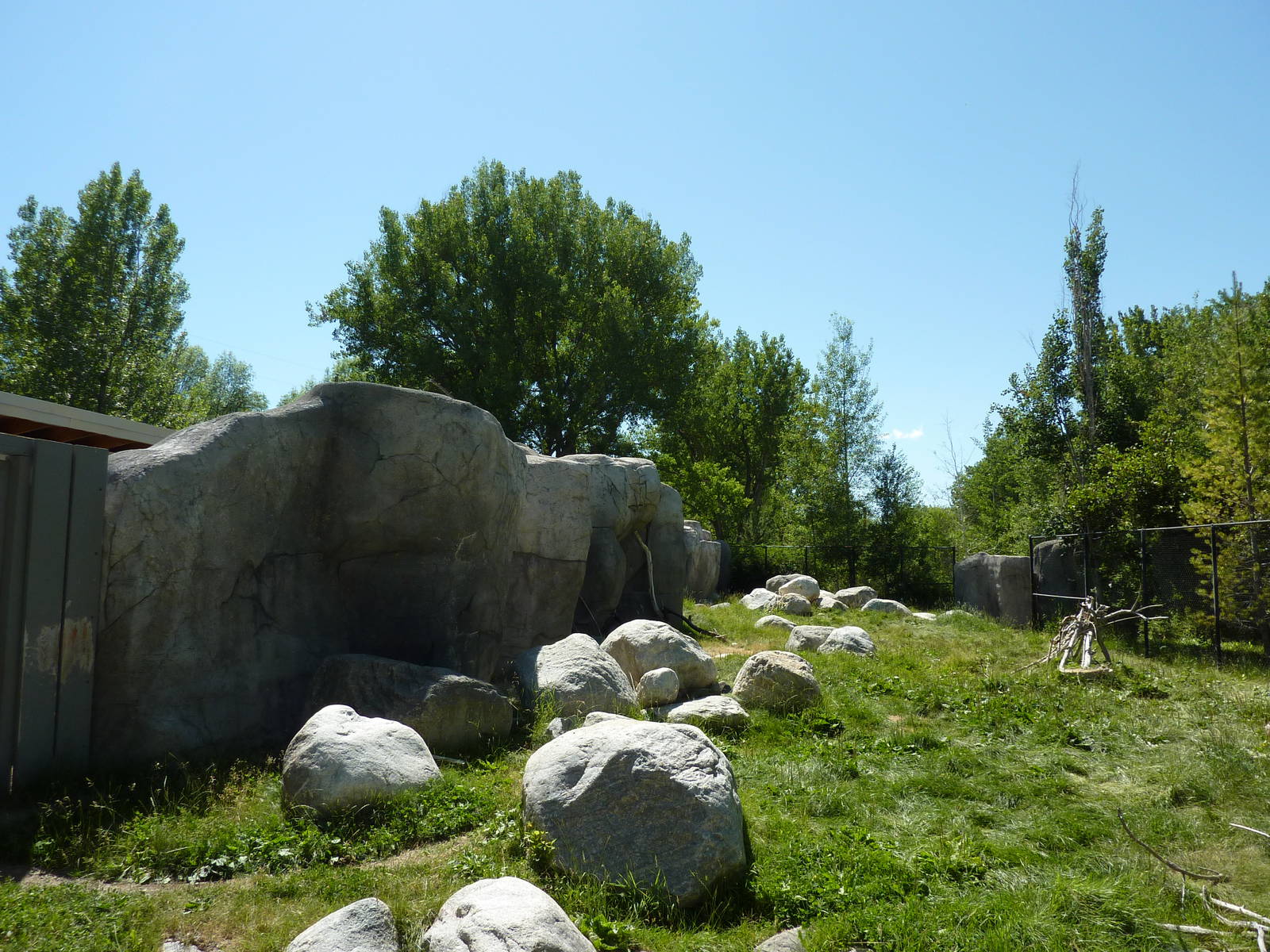 Zoo Montana - Bighorn Sheep Exhibit