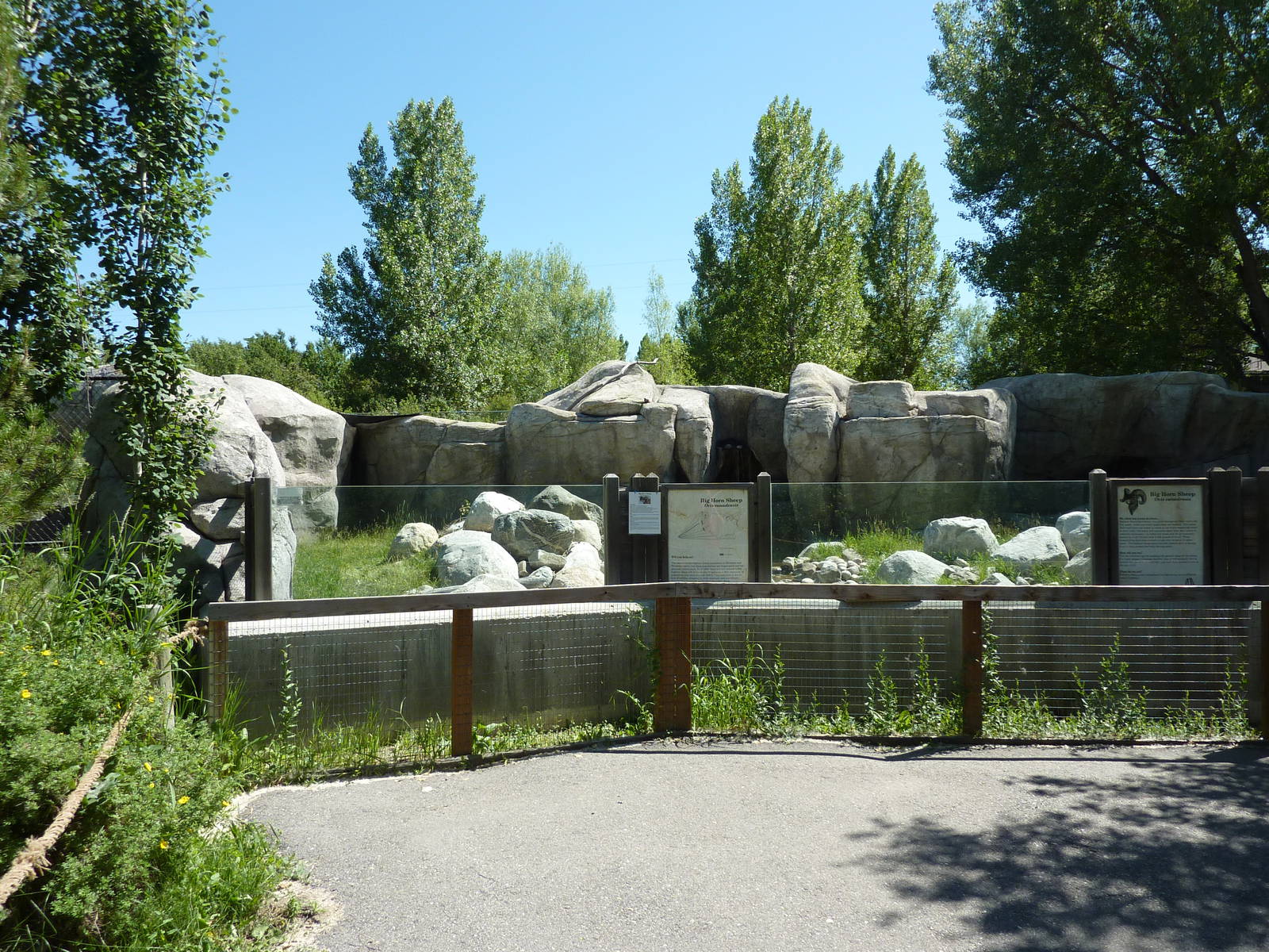 Zoo Montana - Bighorn Sheep Exhibit