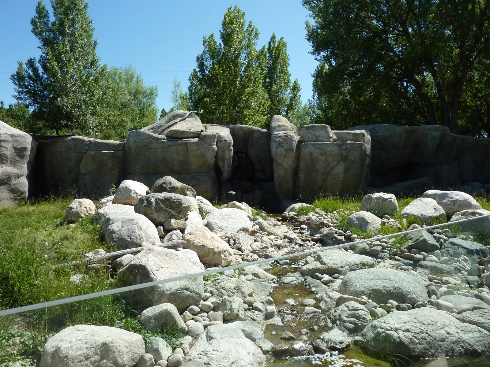 Zoo Montana - Bighorn Sheep Exhibit