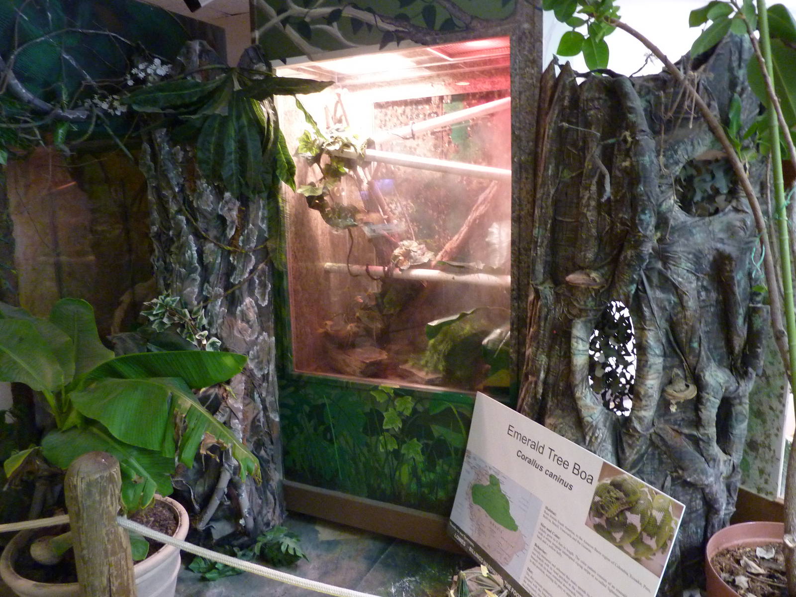 Zoo Montana - Discovery Center