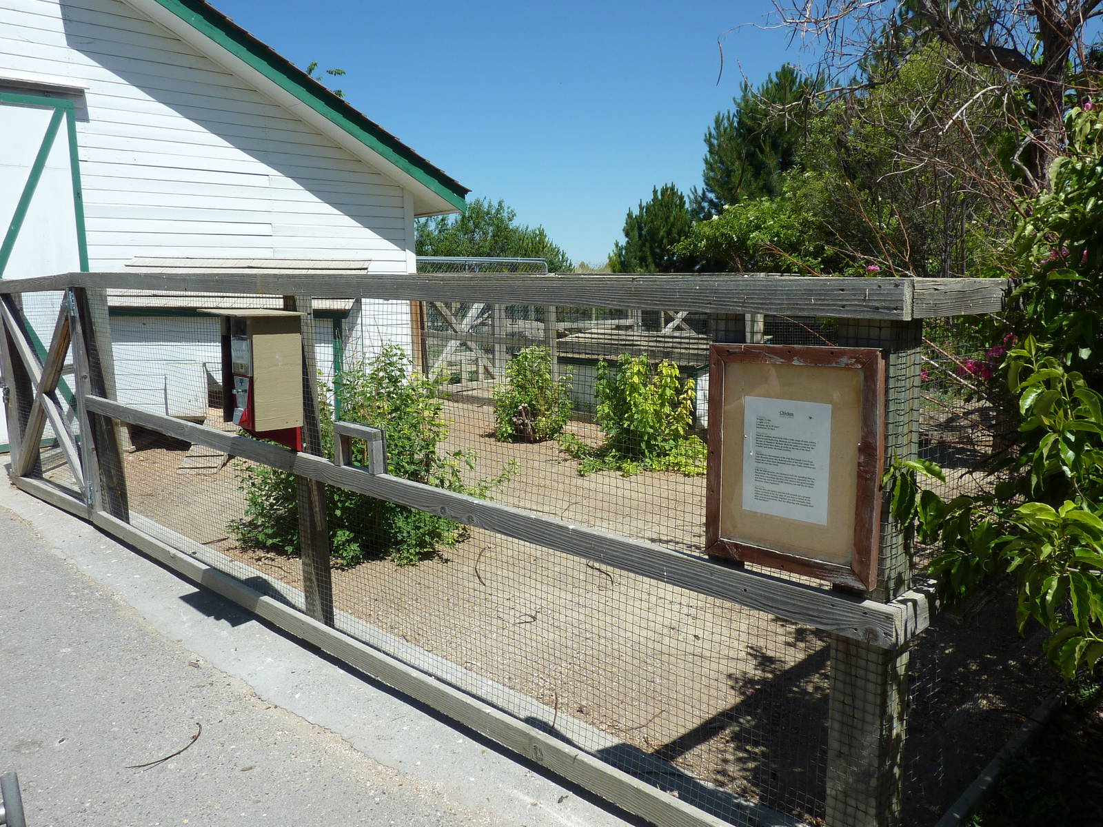Zoo Montana - Farmyard Area