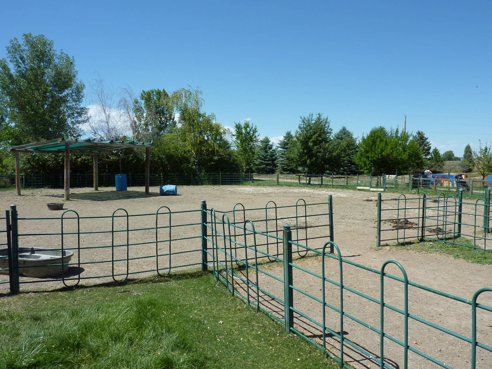 Zoo Montana - Farmyard Area