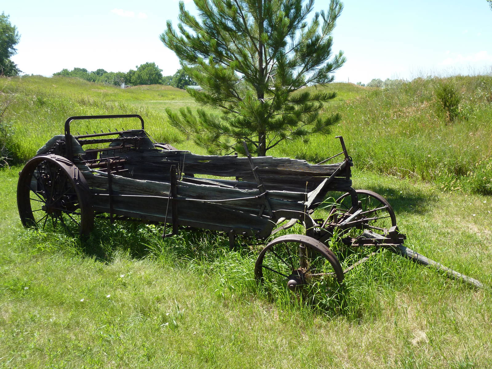 Zoo Montana - Farmyard Area