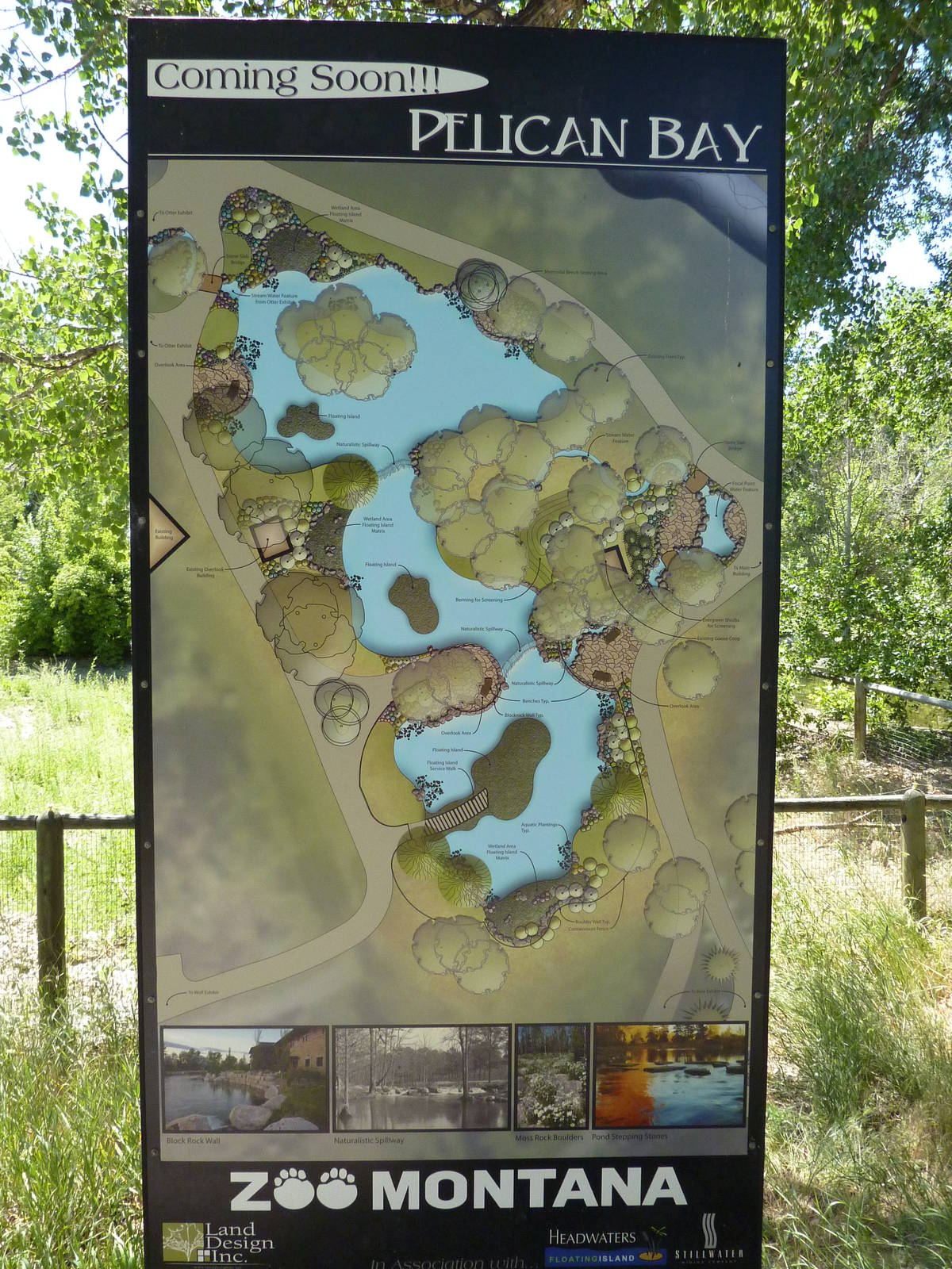 Zoo Montana - Future Pelican Bay Exhibit