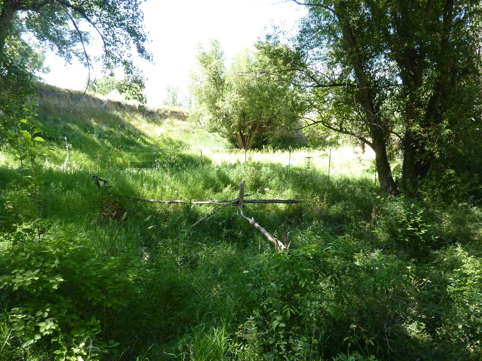 Zoo Montana - Northern Mainland Sika Deer Exhibit