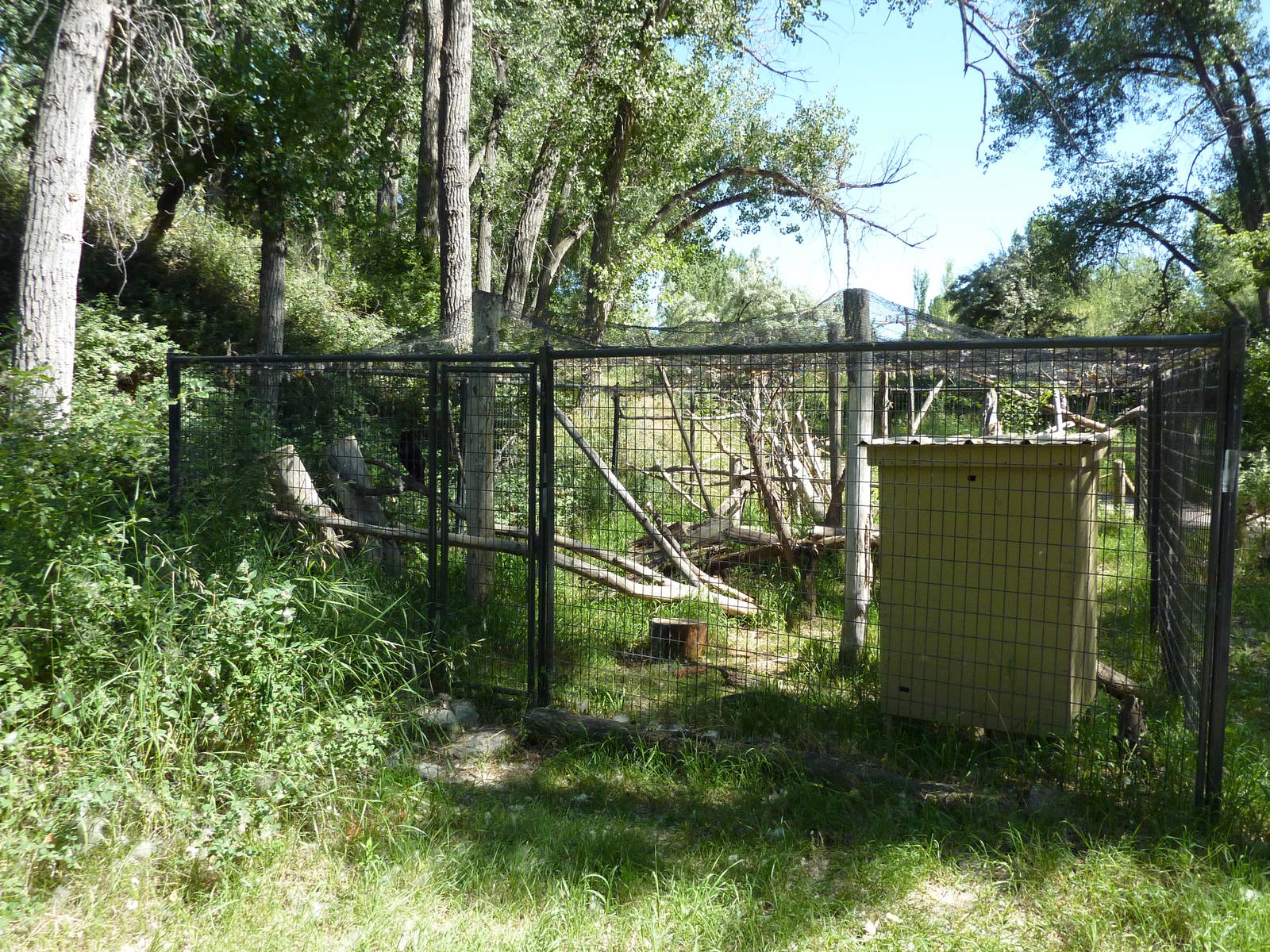 Zoo Montana - Raven Exhibit