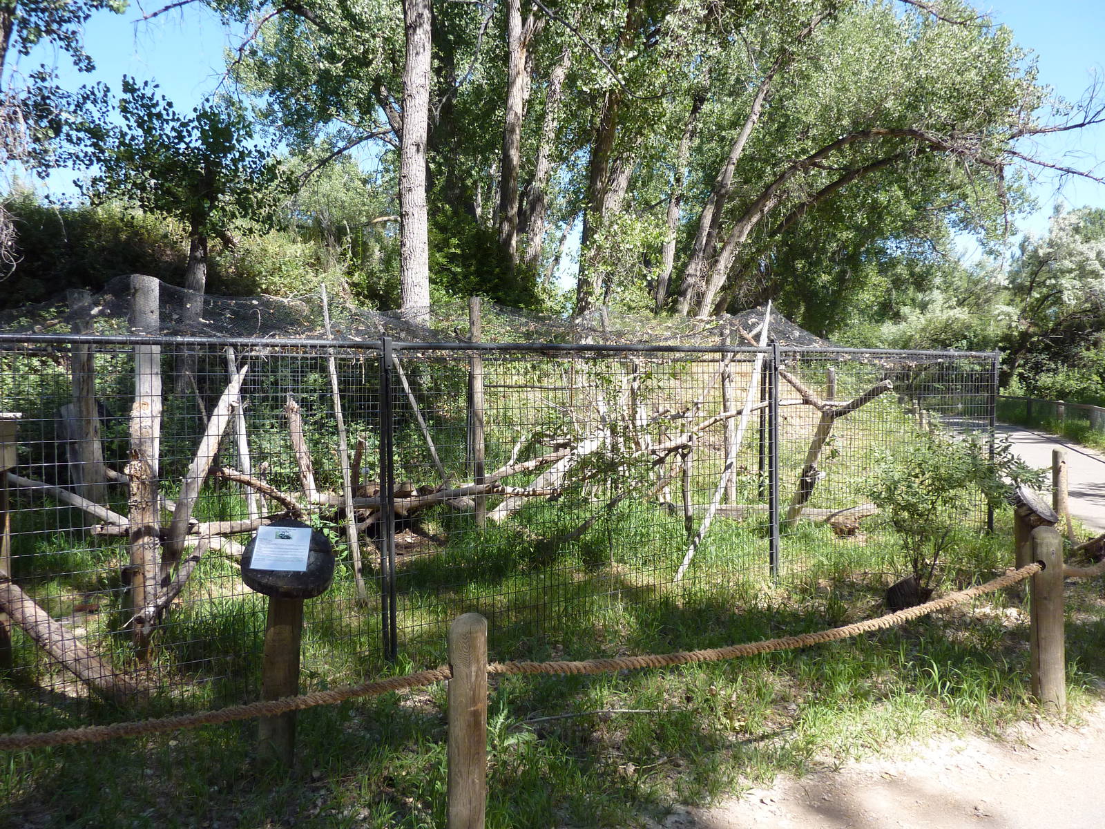 Zoo Montana - Raven Exhibit
