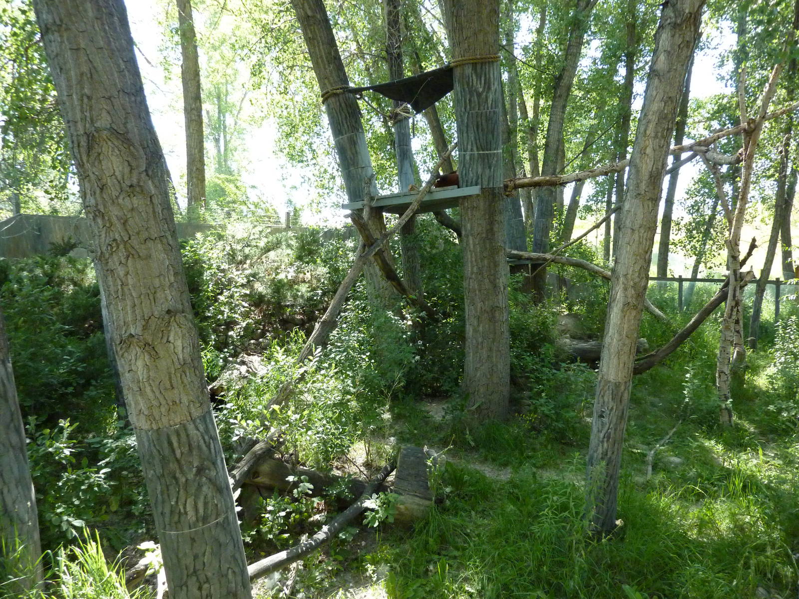 Zoo Montana - Red Panda Exhibit