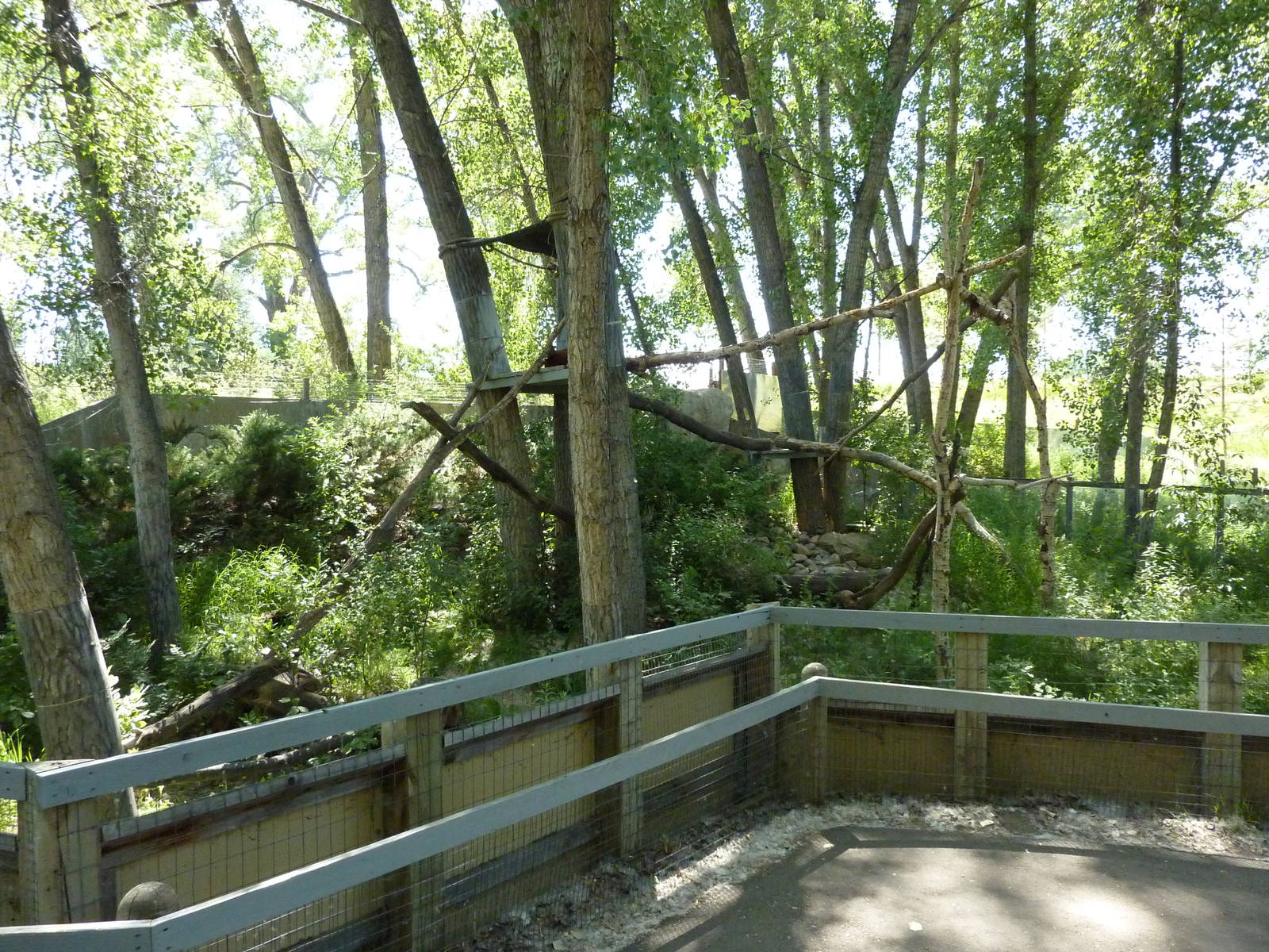 Zoo Montana - Red Panda Exhibit