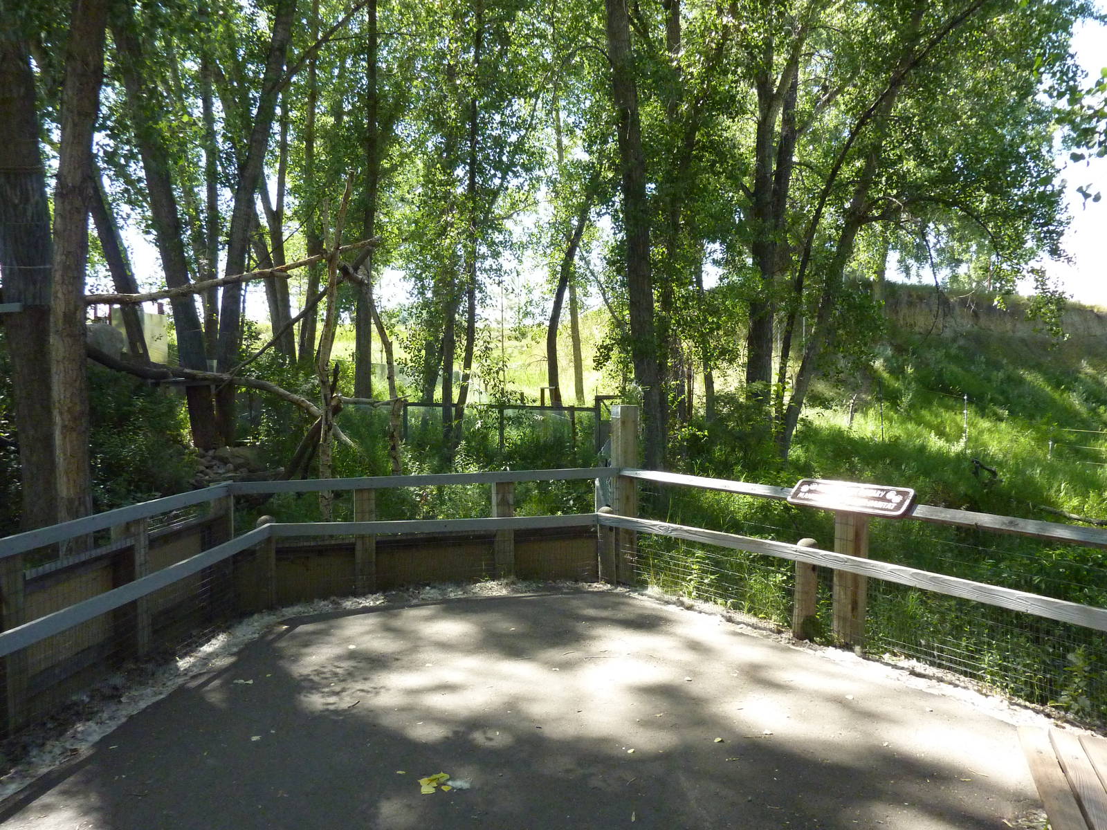 Zoo Montana - Red Panda + Sika Deer Exhibits