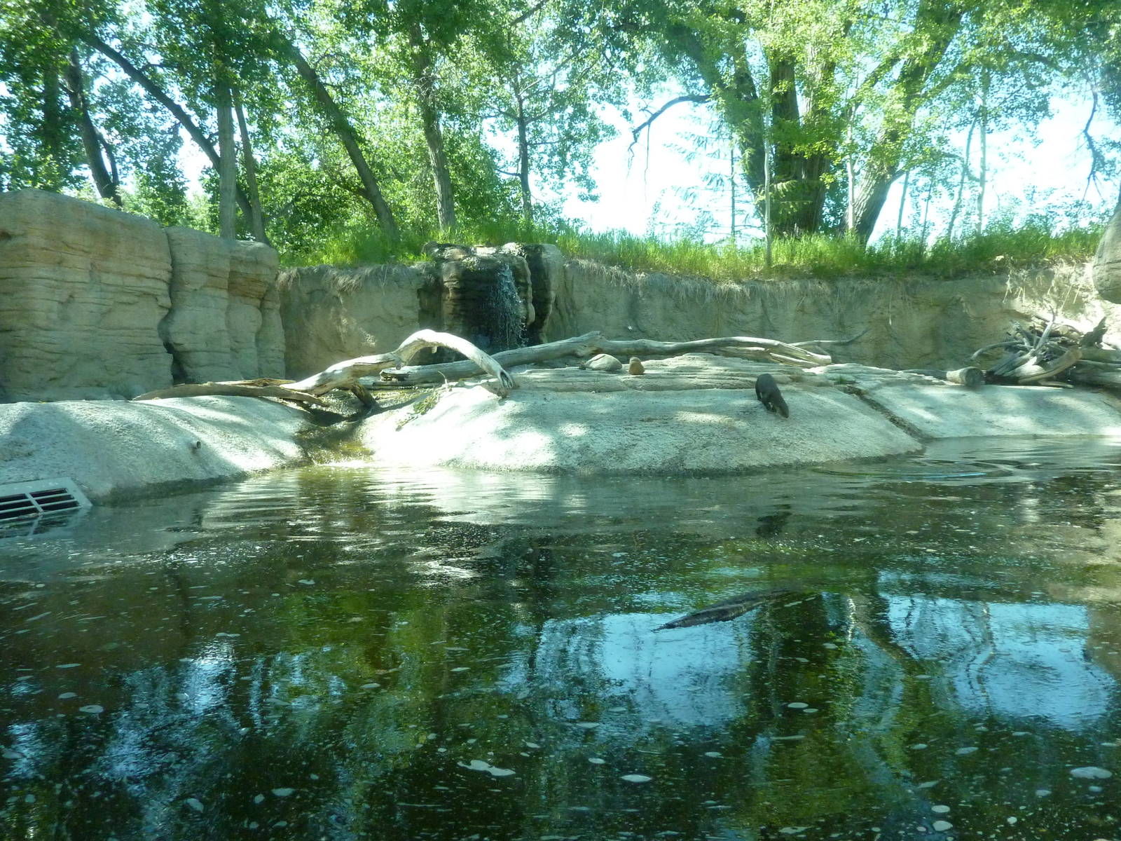 Zoo Montana - River Otter Exhibit