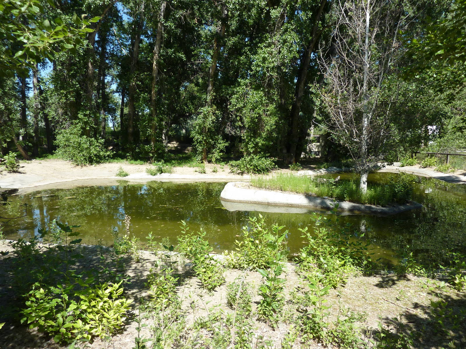 Zoo Montana - Waterfowl Exhibit