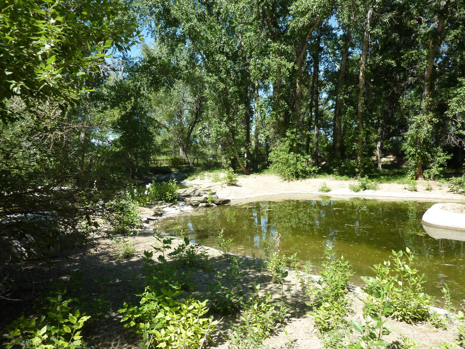 Zoo Montana - Waterfowl Exhibit