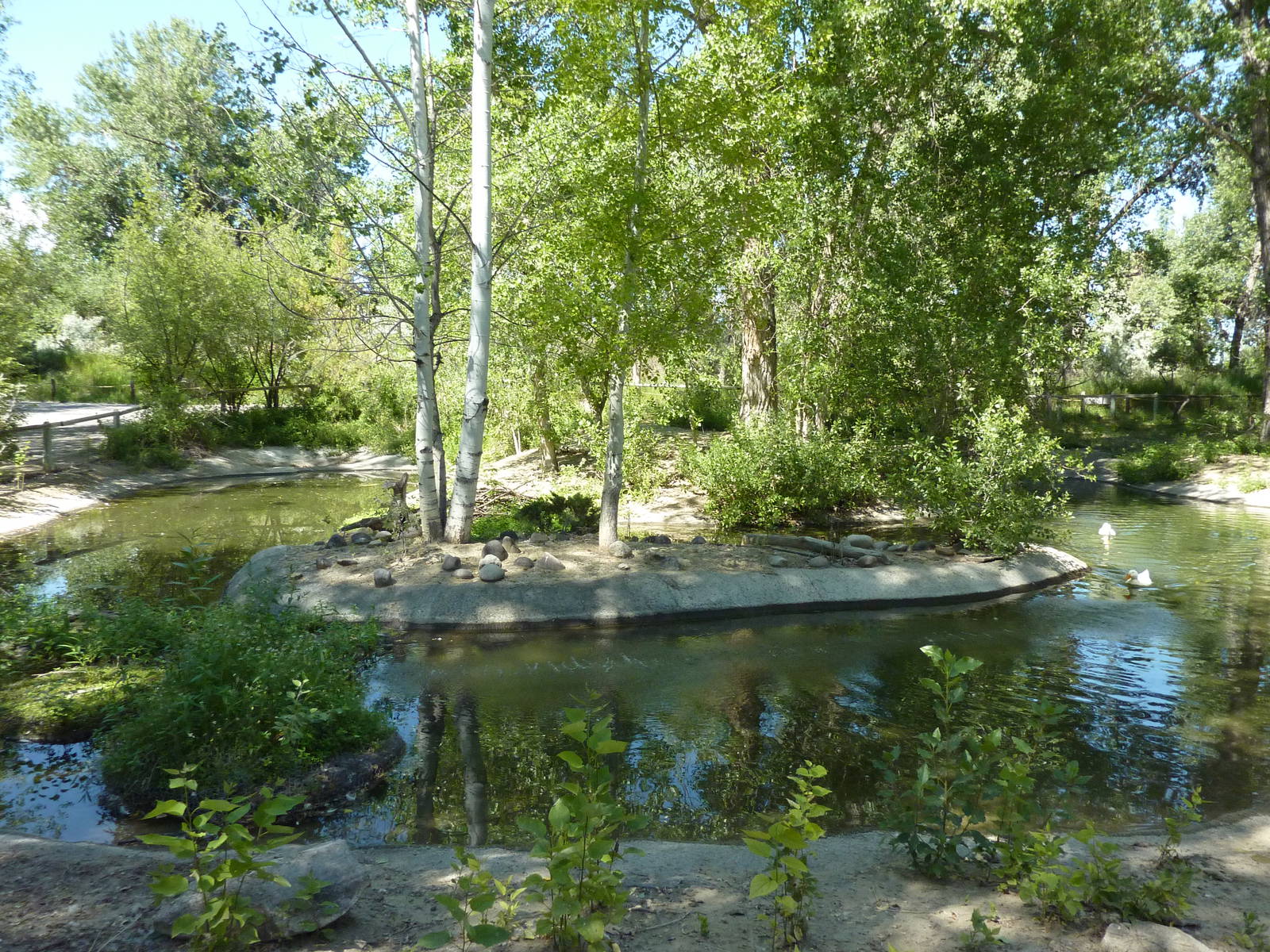 Zoo Montana - Waterfowl Exhibit