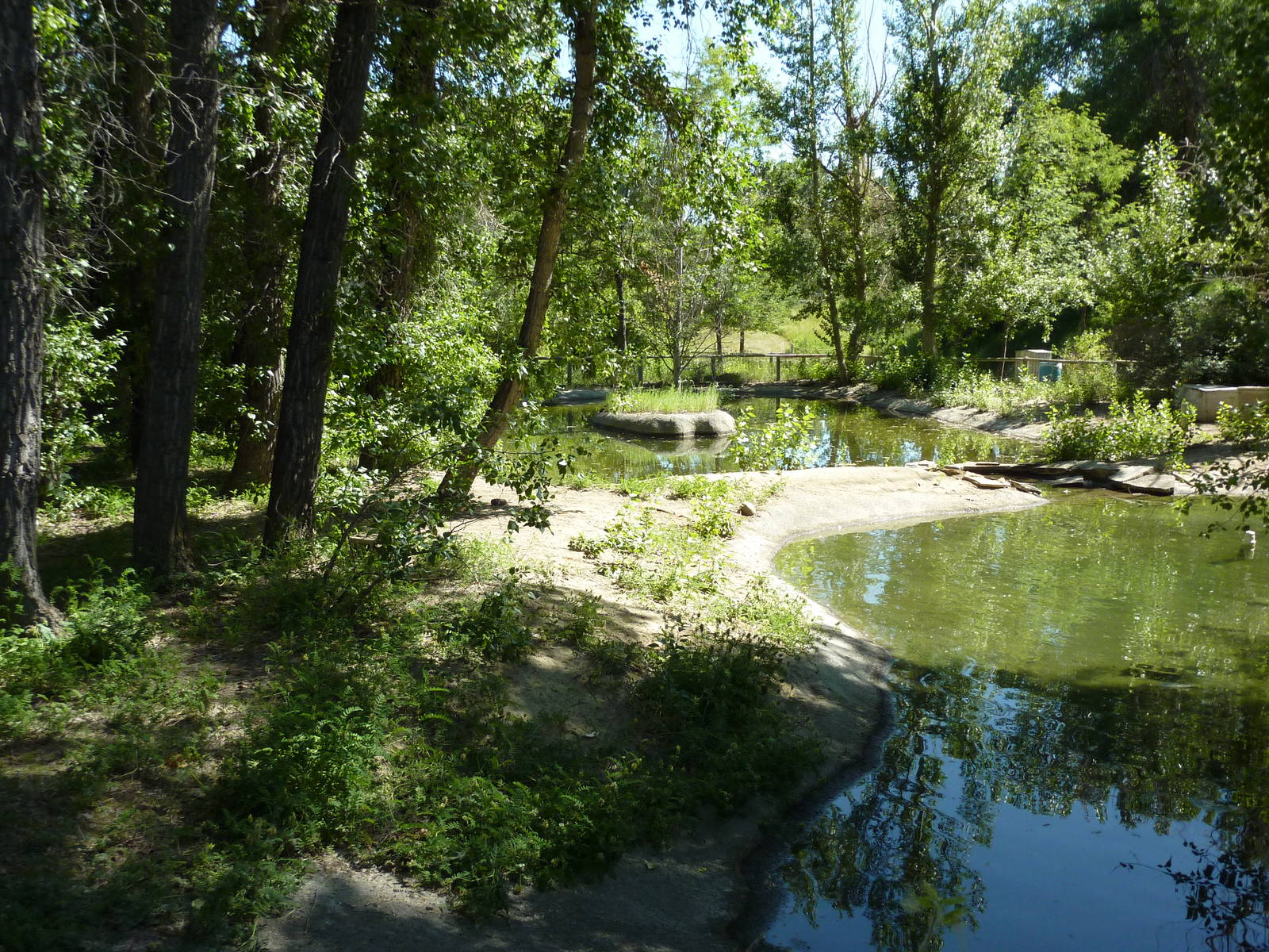Zoo Montana - Waterfowl Exhibit