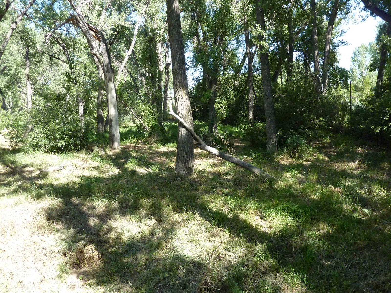 Zoo Montana - Wolf Exhibit