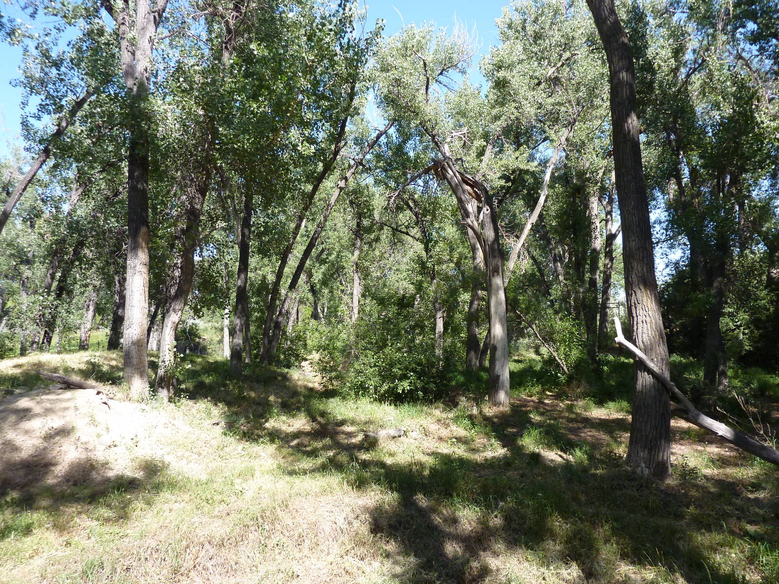 Zoo Montana - Wolf Exhibit