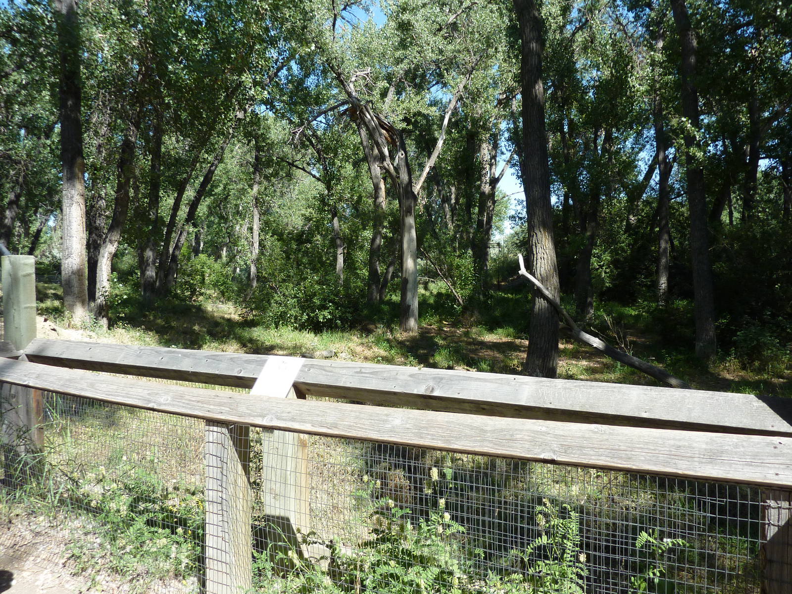 Zoo Montana - Wolf Exhibit