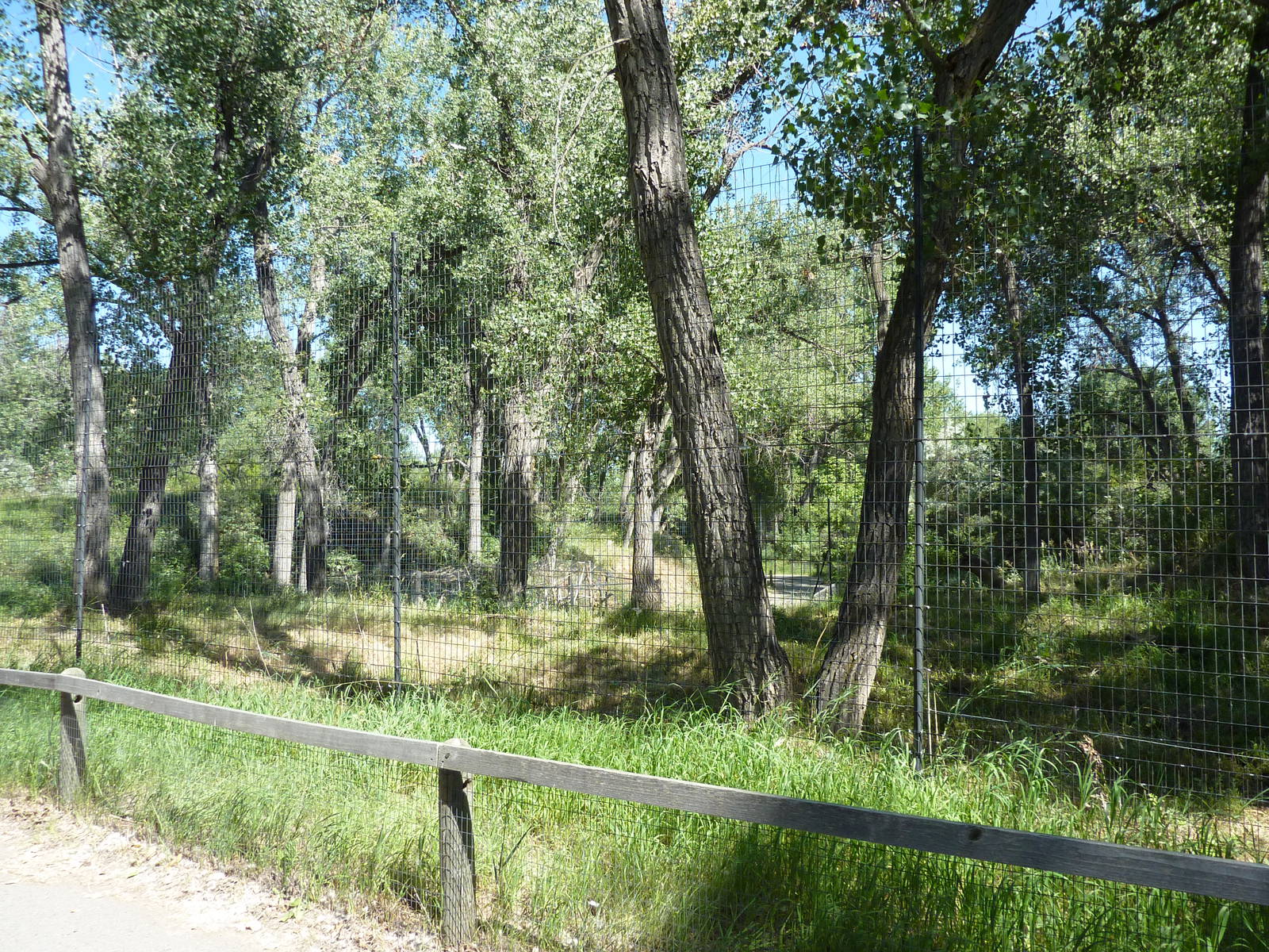 Zoo Montana - Wolf Exhibit
