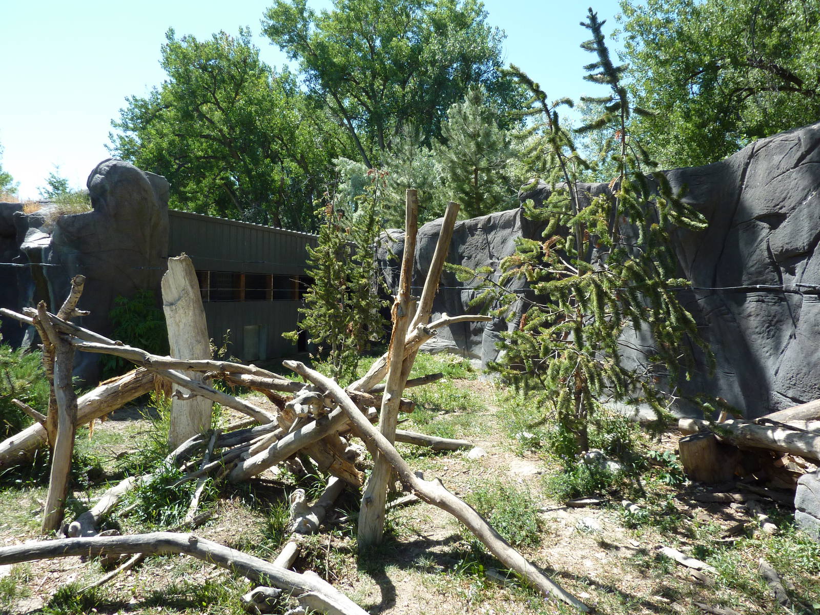 Zoo Montana - Wolverine Exhibit