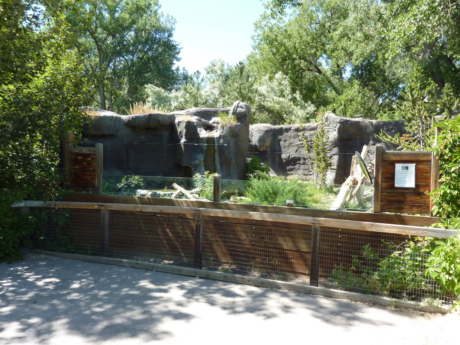 Zoo Montana - Wolverine Exhibit
