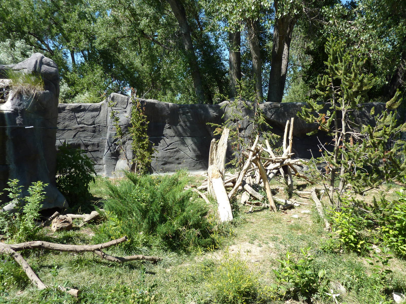 Zoo Montana - Wolverine Exhibit