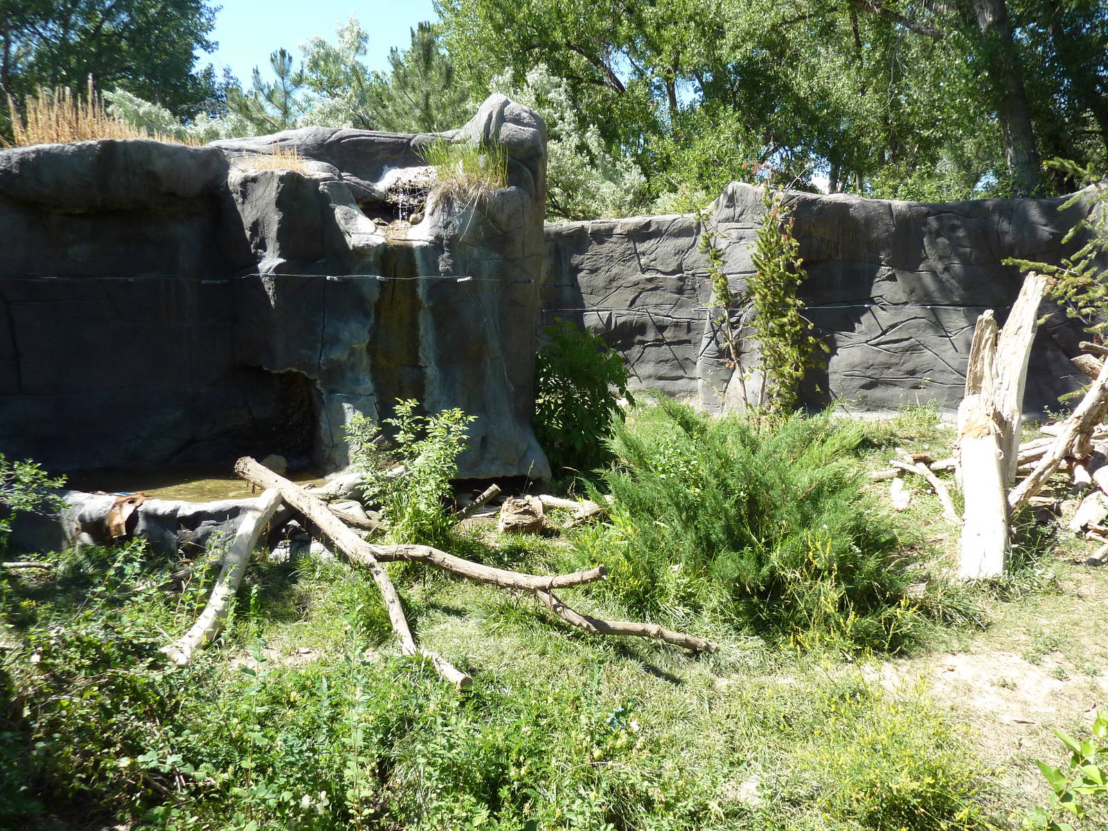 Zoo Montana - Wolverine Exhibit
