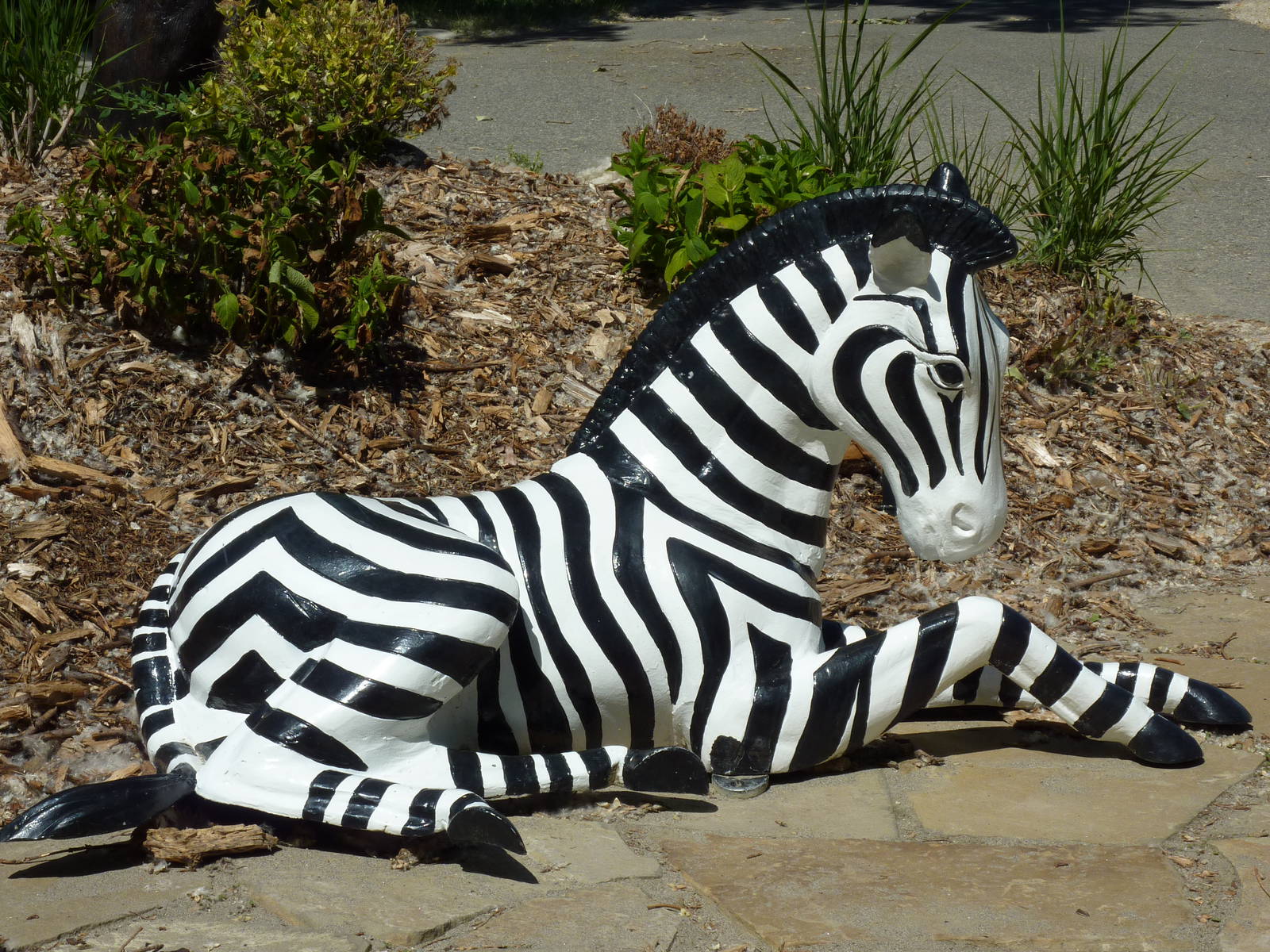 Zoo Montana - Zebra Statue