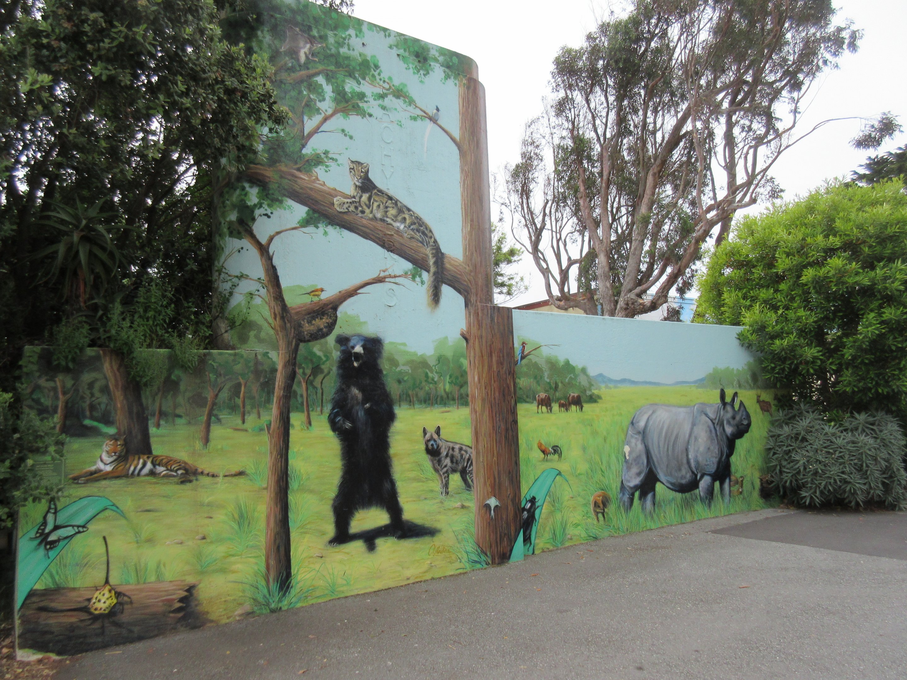 Zoo Mural