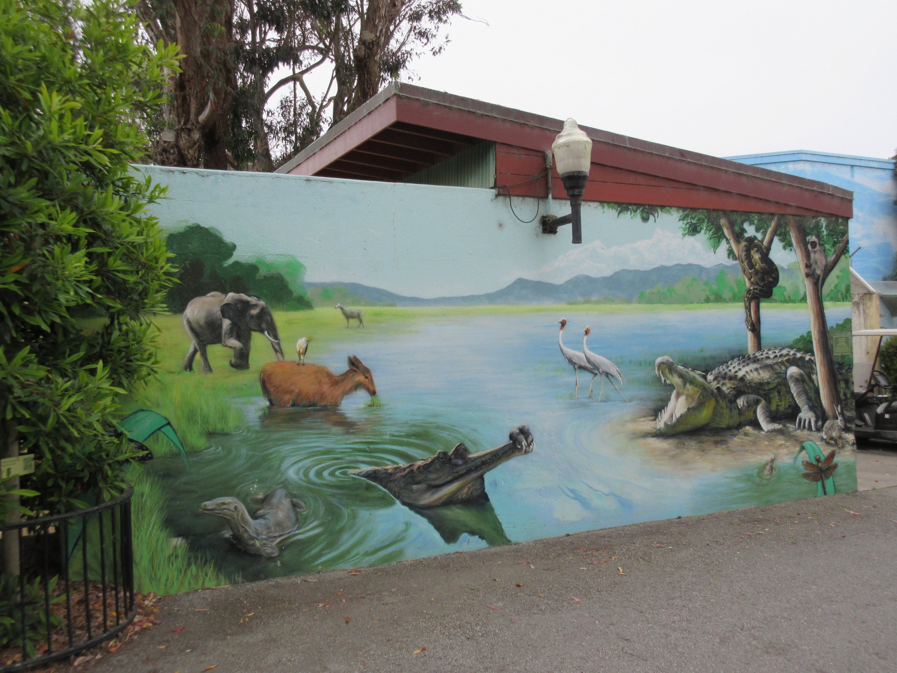 Zoo Mural