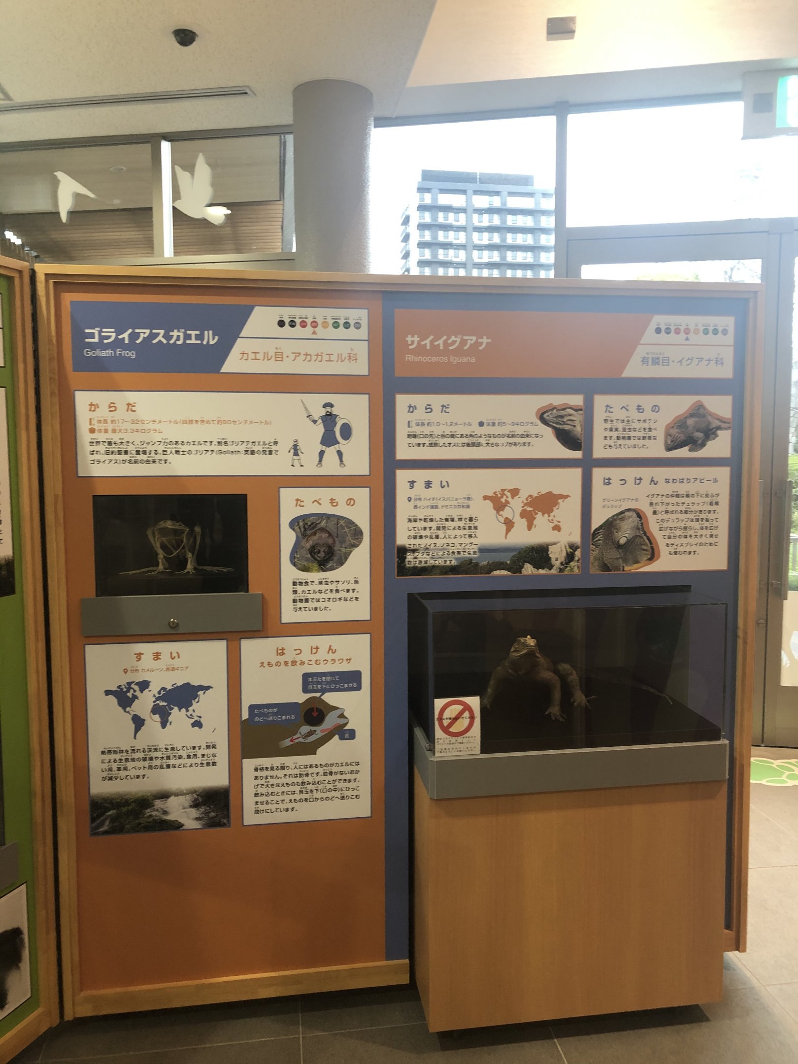 Zoo Museum - Educational boards