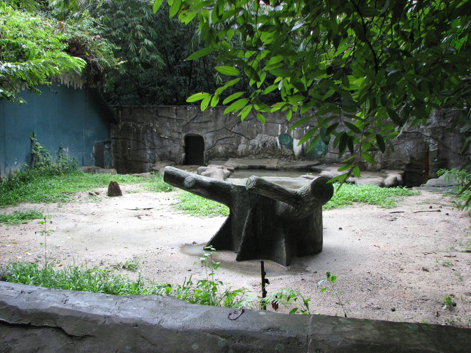 Zoo Negara Malaysia - Another bear exhibit