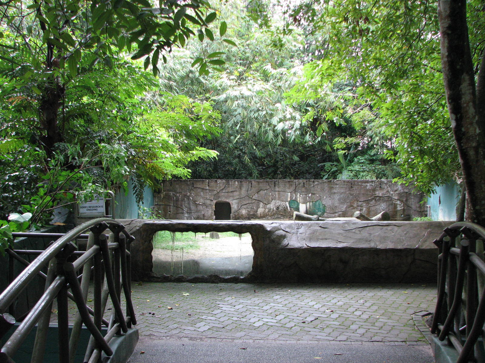 Zoo Negara Malaysia - Bear exhibit