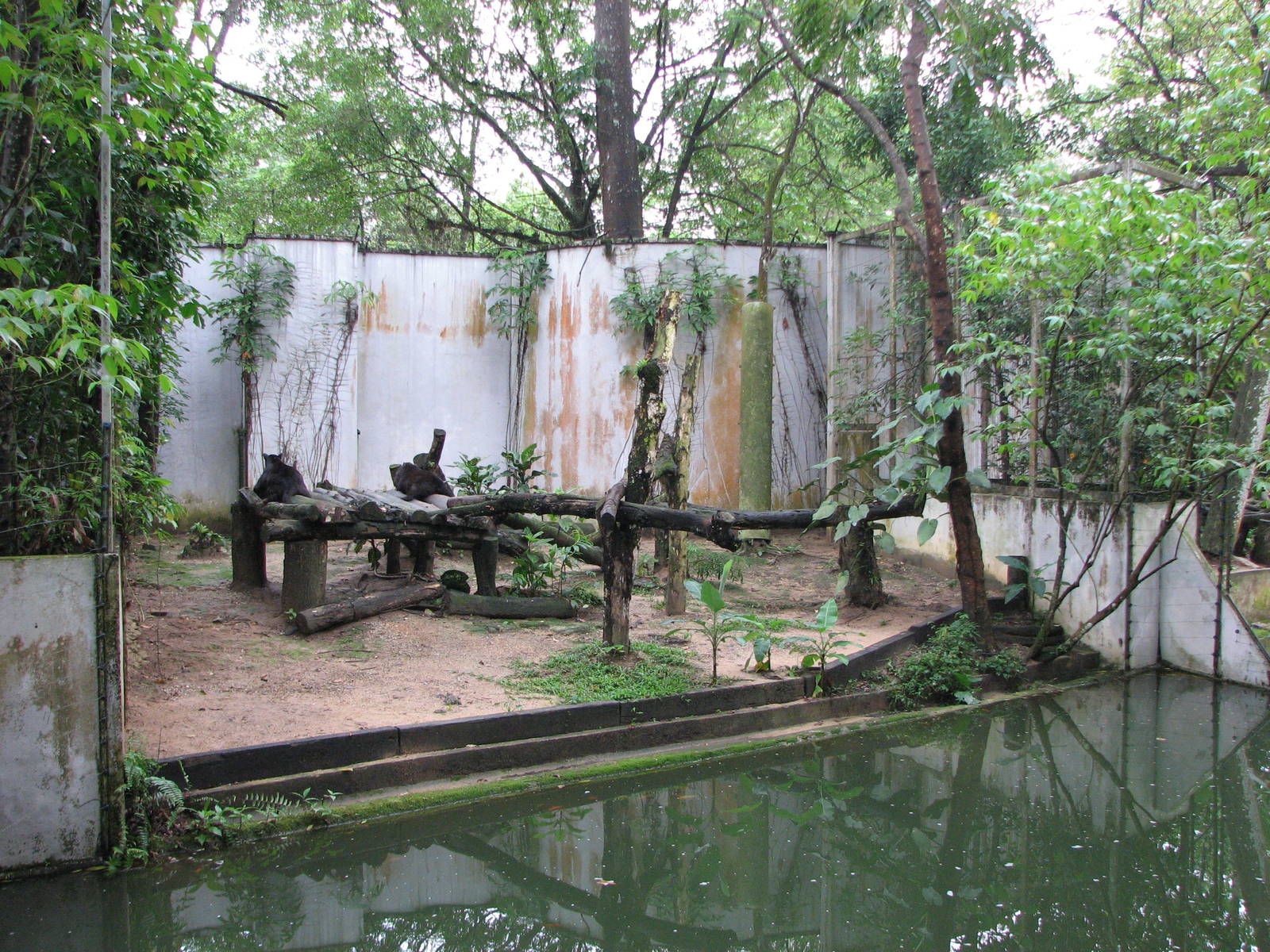 Zoo Negara Malaysia - Black Panther exhibit