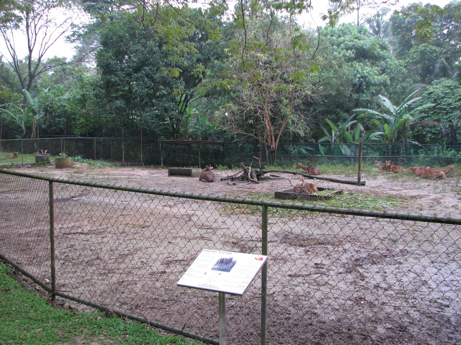 Zoo Negara Malaysia - Deer enclosure