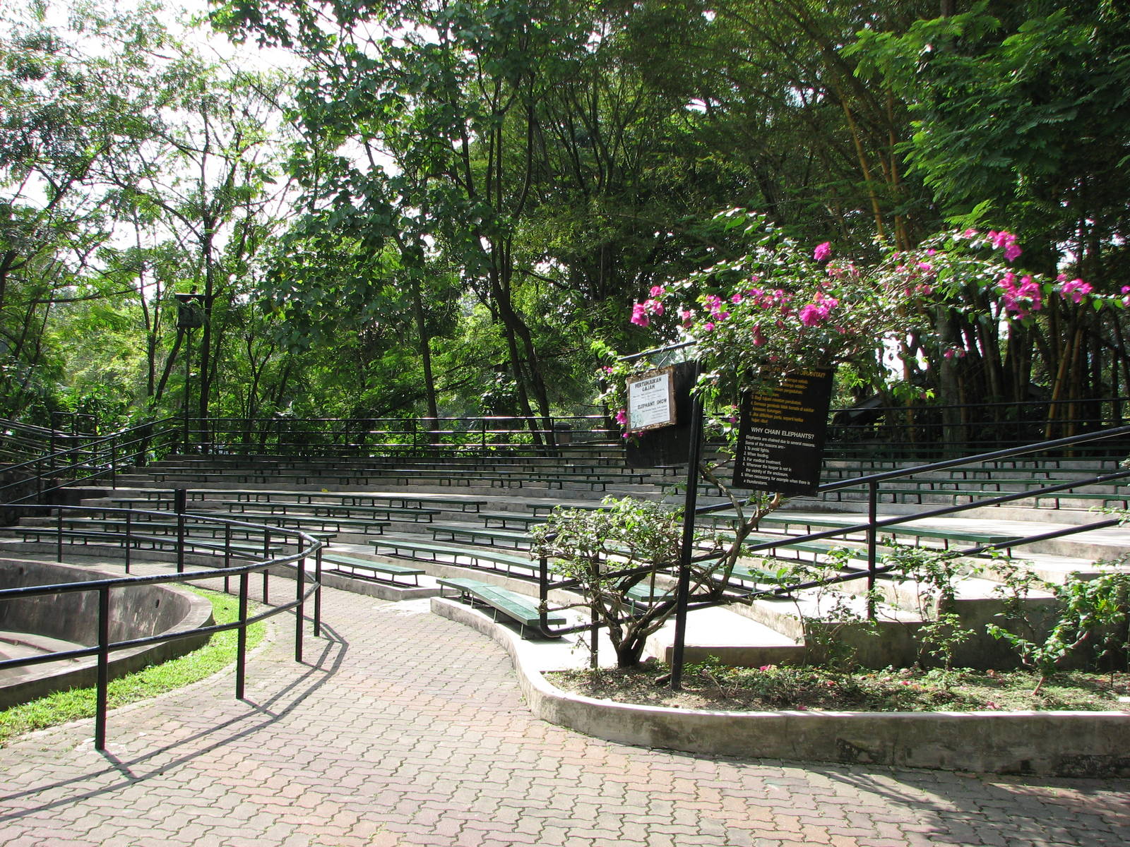 Zoo Negara Malaysia - Elephant show viewing deck