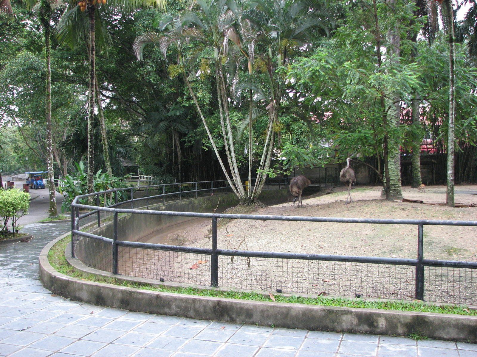 Zoo Negara Malaysia - Exhibit for Emu and Agile Wallaby