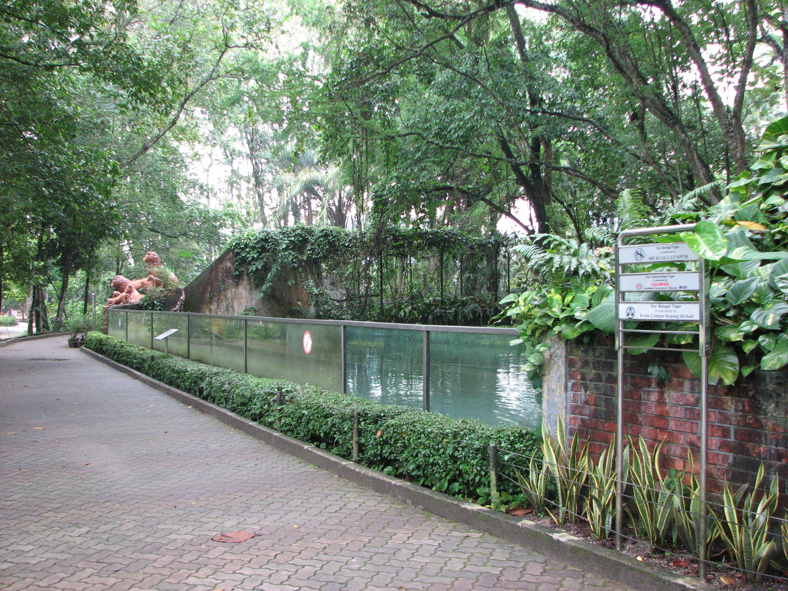 Zoo Negara Malaysia - Front of Big Cat row